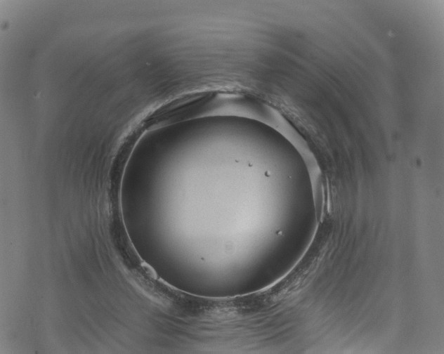 X0000072500252200607211257