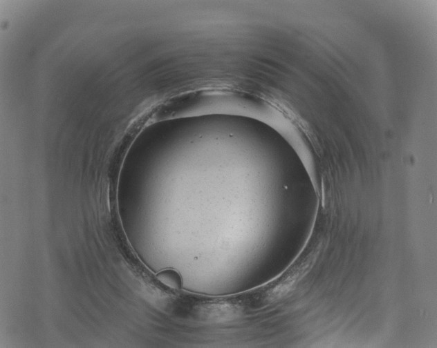 X0000072500253200607211257