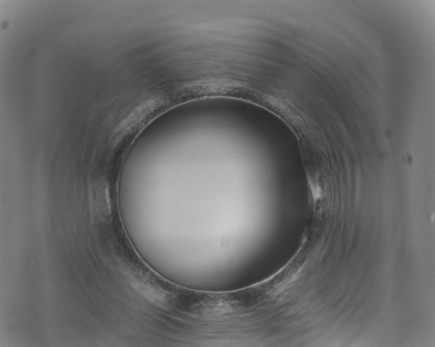 X0000072500254200607211257