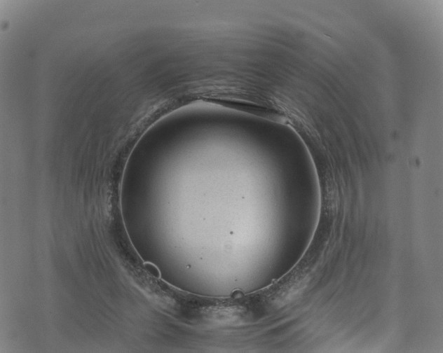 X0000072500255200607211257