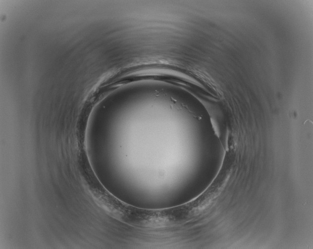 X0000072500256200607211257