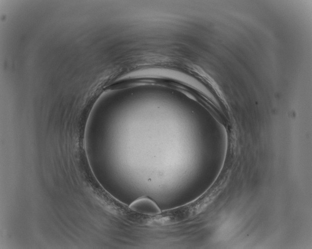 X0000072500257200607211257