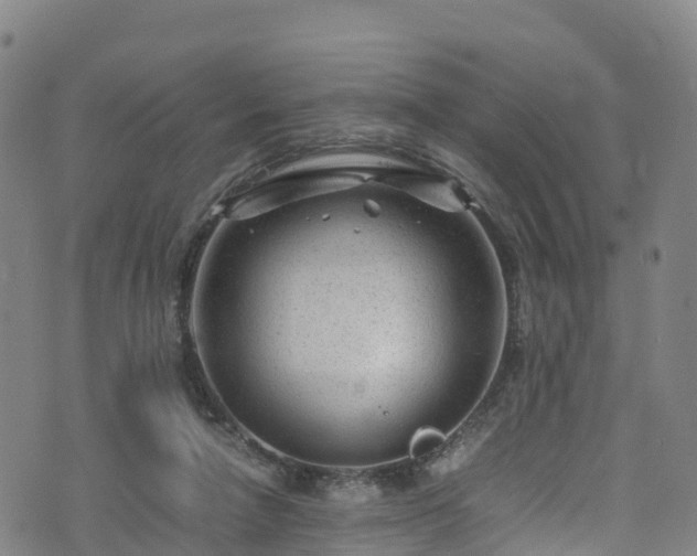 X0000072500258200607211257