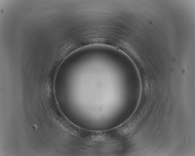 X0000072500259200607211257