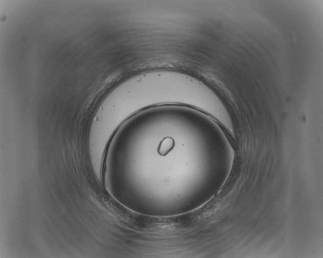 X0000072500260200607211257