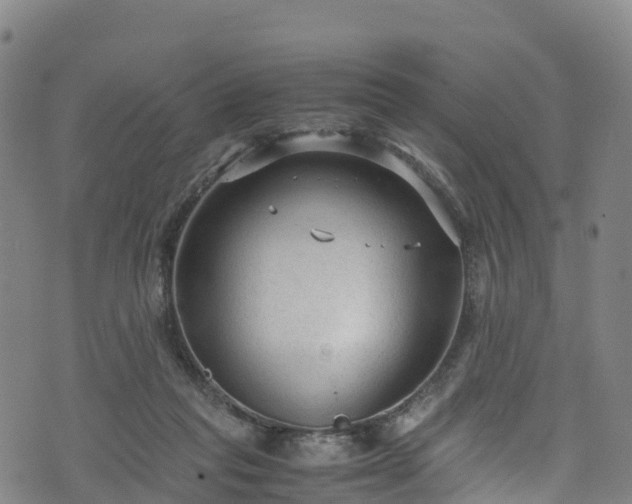 X0000072500261200607211257