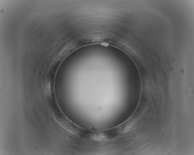 X0000072500262200607211257