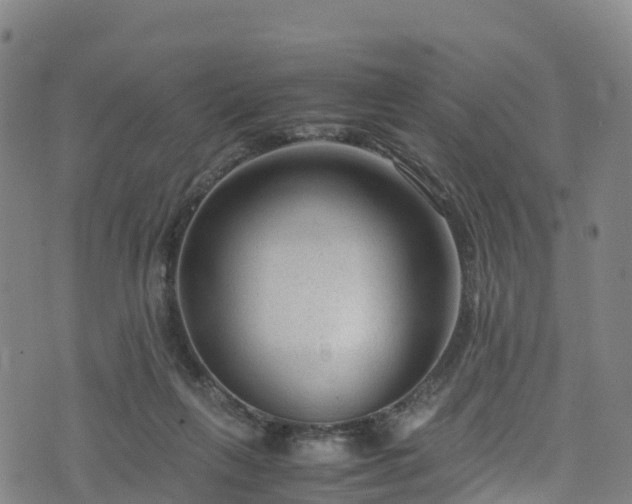 X0000072500263200607211257