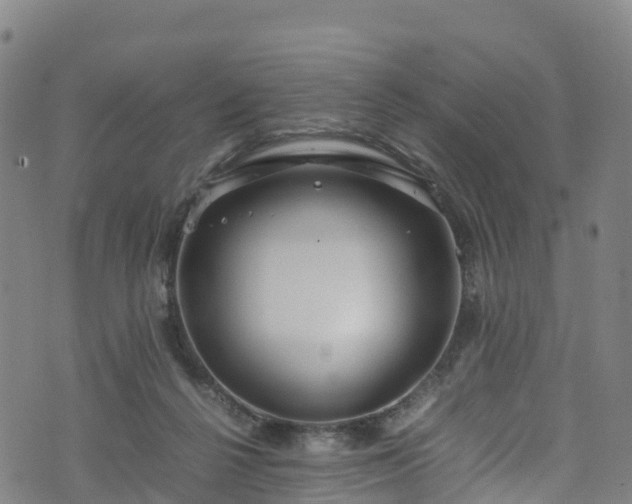 X0000072500264200607211257