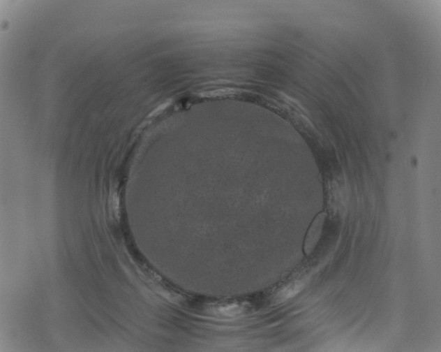 X0000072500267200607211257