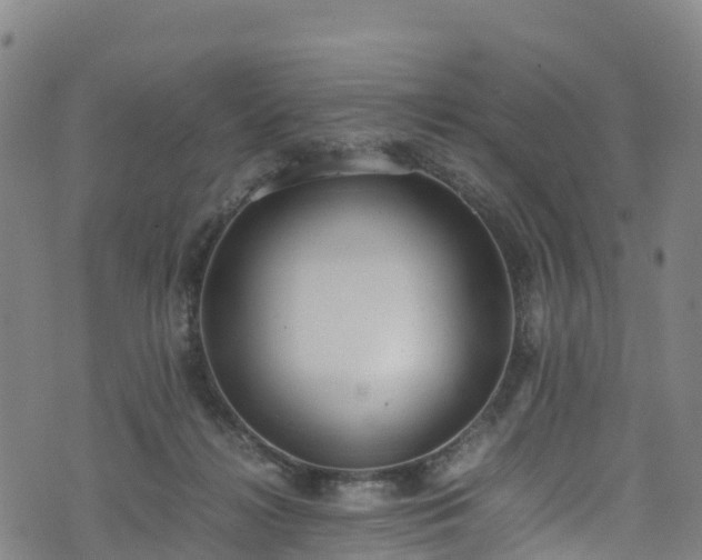 X0000072500268200607211257