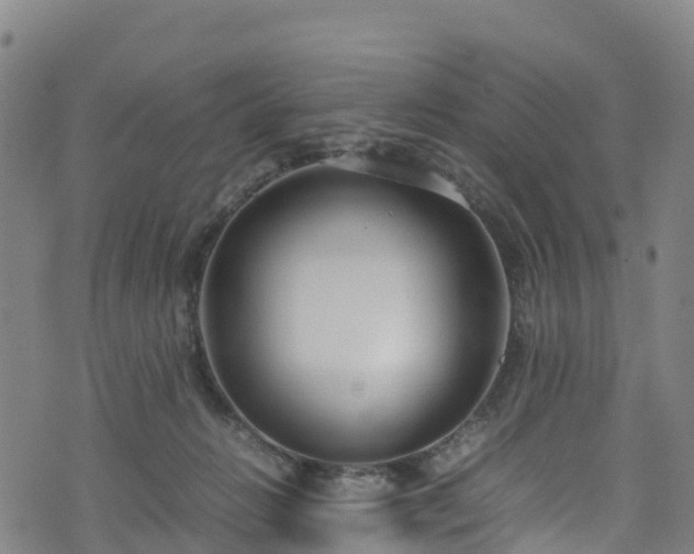 X0000072500270200607211257