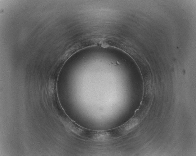 X0000072500274200607211257