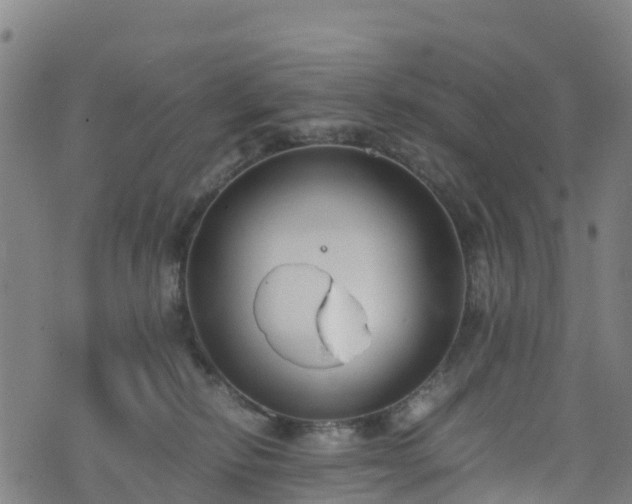 X0000072500278200607211257