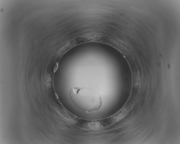 X0000072500279200607211257