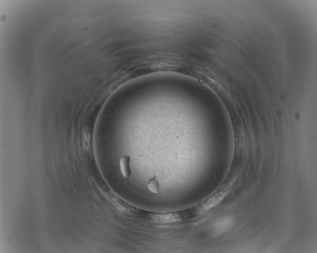 X0000072500281200607211257