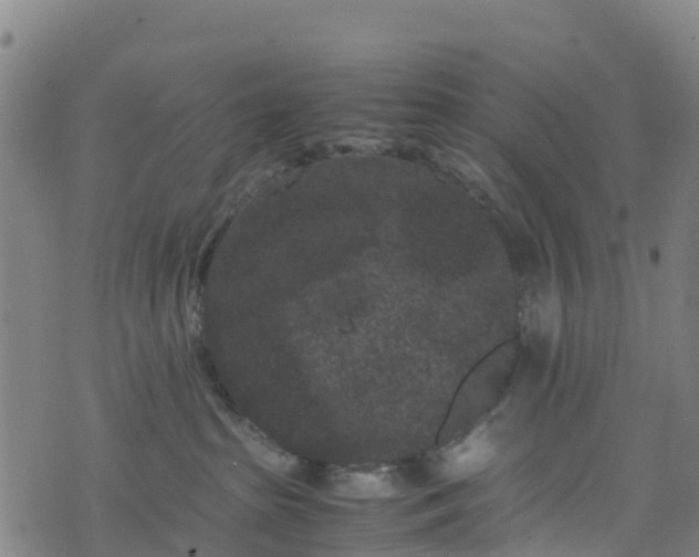 X0000072500285200607211257