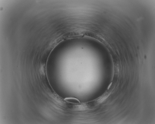 X0000072500286200607211257