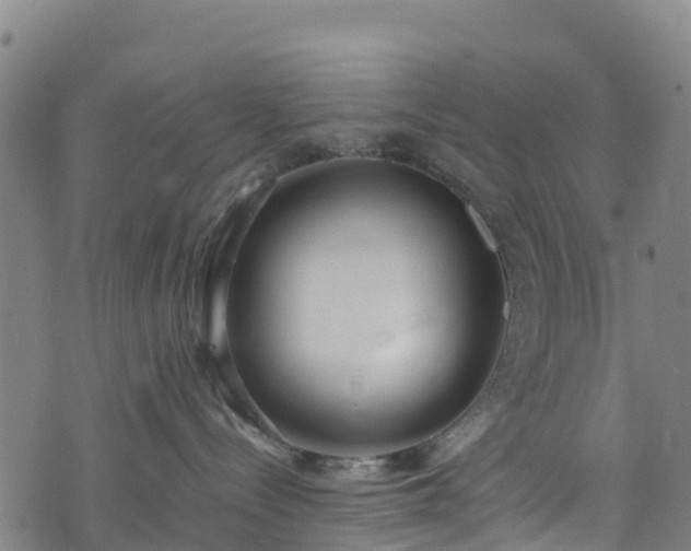 X0000072500288200607211257