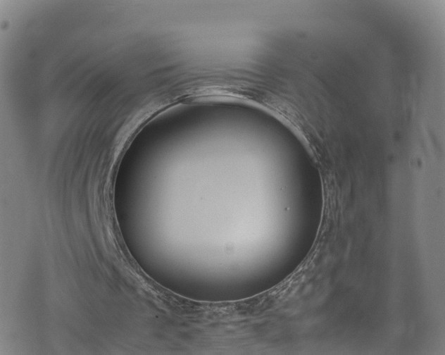 X0000072500289200607211256