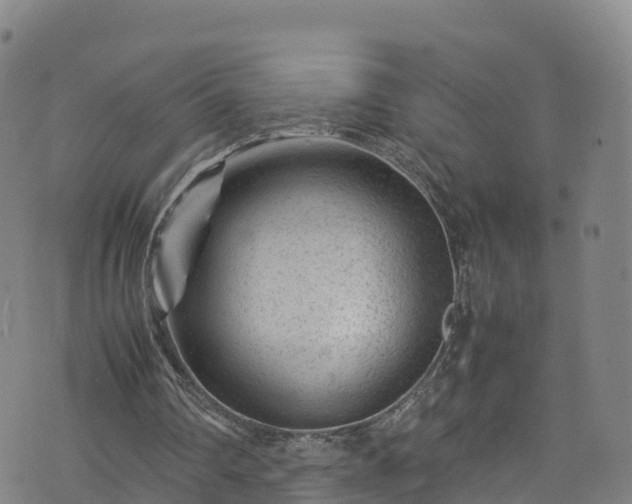 X0000072500290200607211256