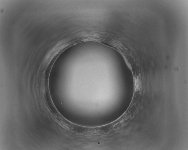 X0000072500291200607211256