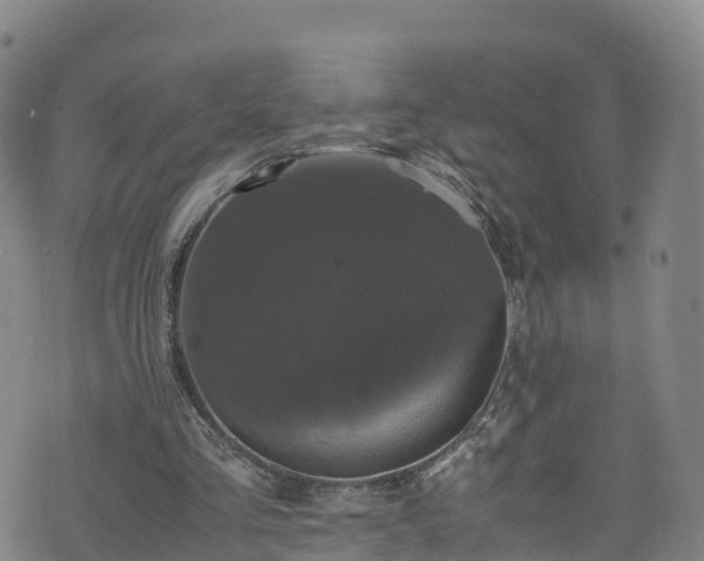 X0000072500293200607211256