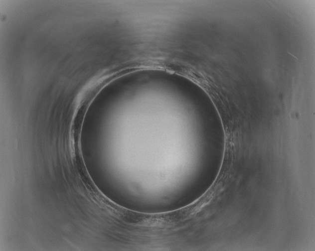 X0000072500294200607211256