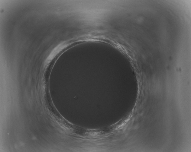 X0000072500295200607211256