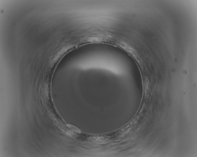 X0000072500297200607211256