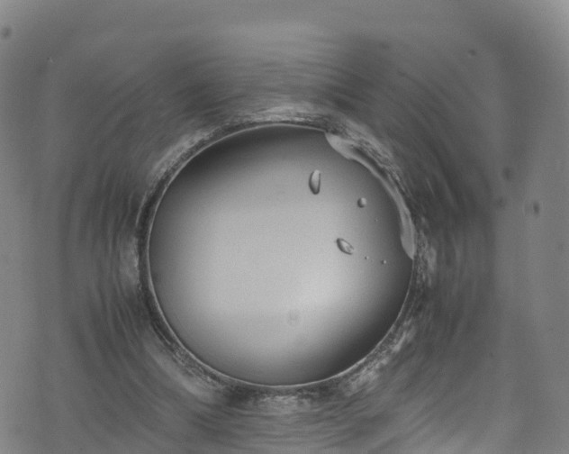 X0000072500298200607211256