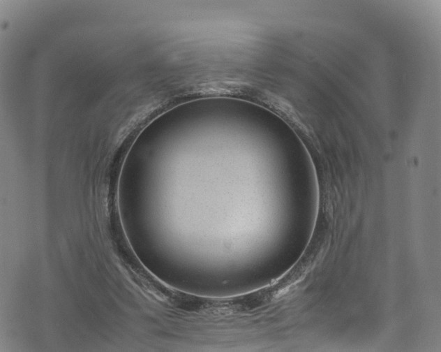 X0000072500299200607211256