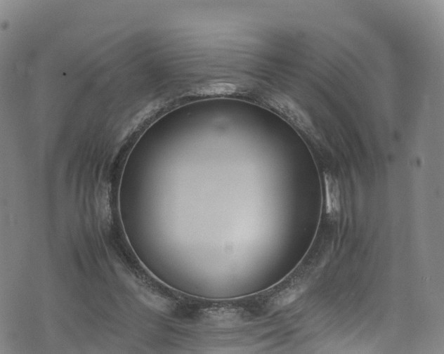 X0000072500300200607211256