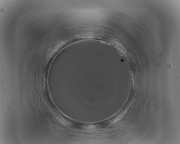 X0000072500301200607211256