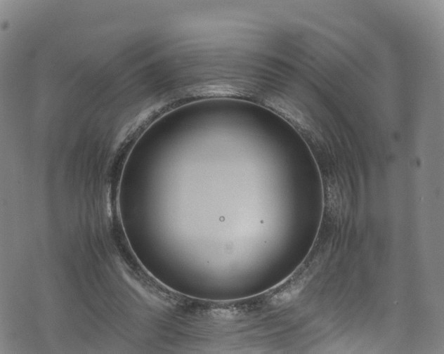 X0000072500302200607211256