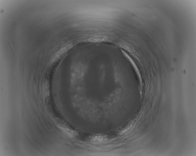 X0000072500303200607211256