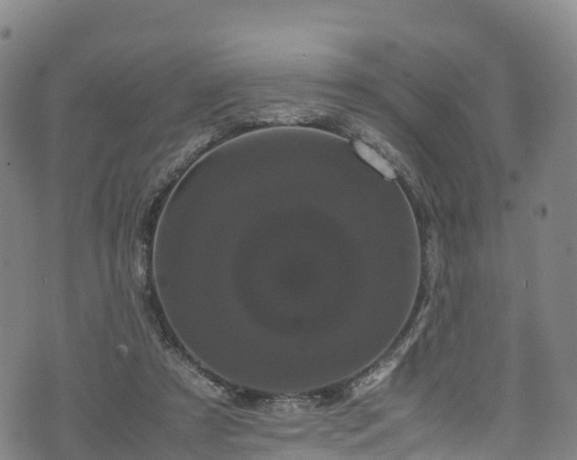 X0000072500305200607211256