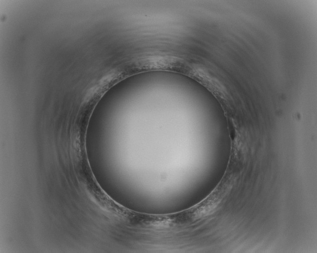 X0000072500306200607211256