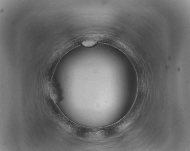 X0000072500307200607211256