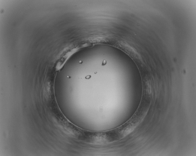 X0000072500308200607211256