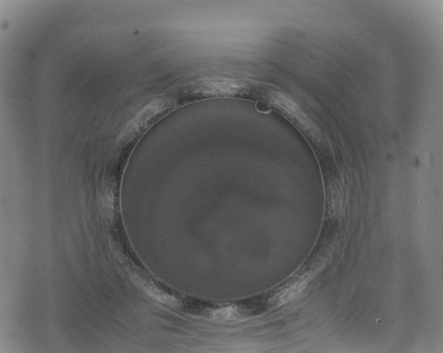 X0000072500309200607211256