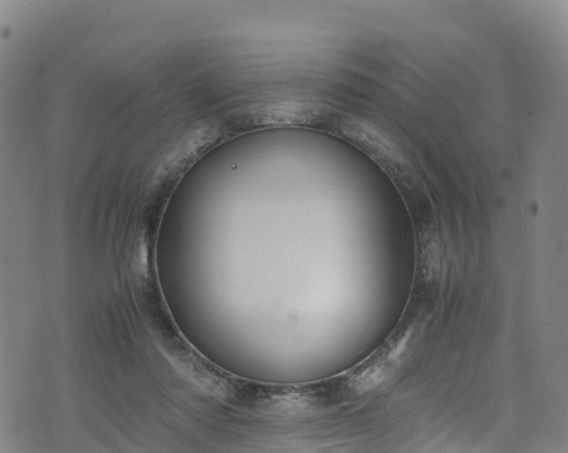 X0000072500310200607211256