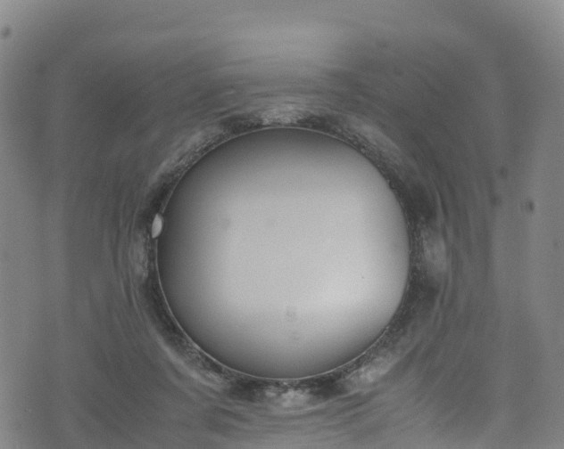 X0000072500311200607211256