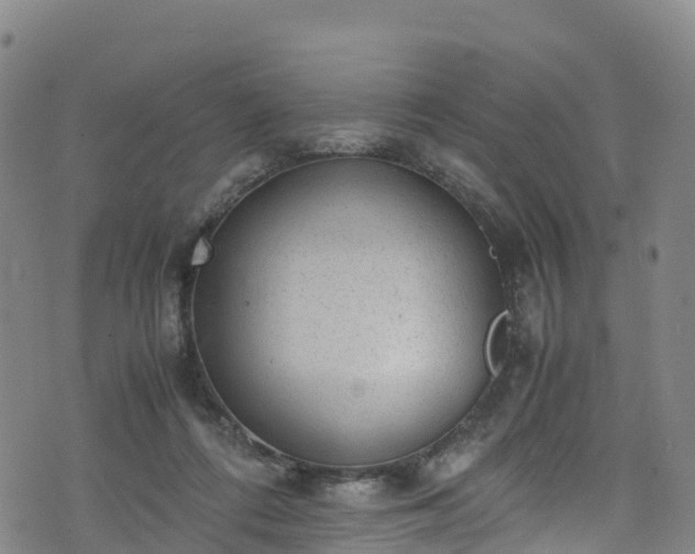 X0000072500312200607211256