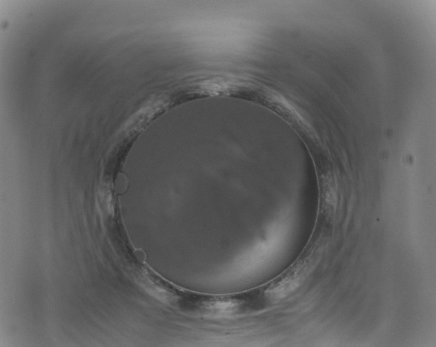 X0000072500313200607211256