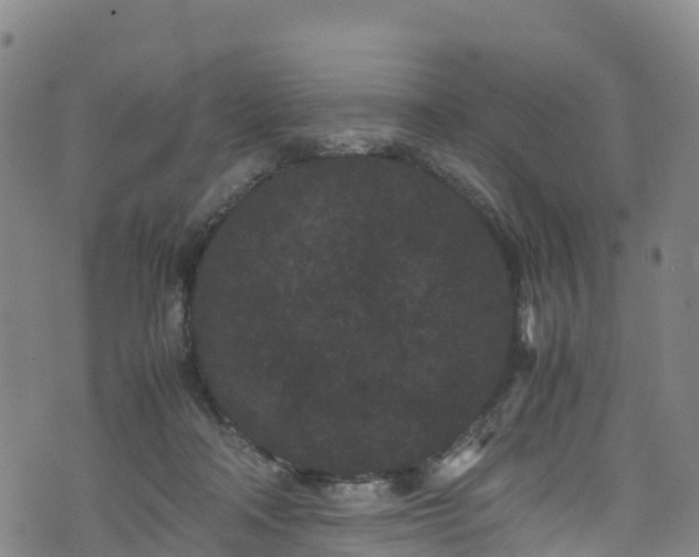 X0000072500314200607211256