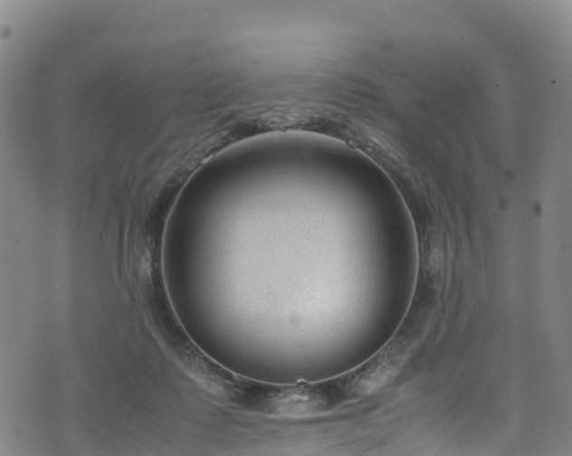 X0000072500315200607211256