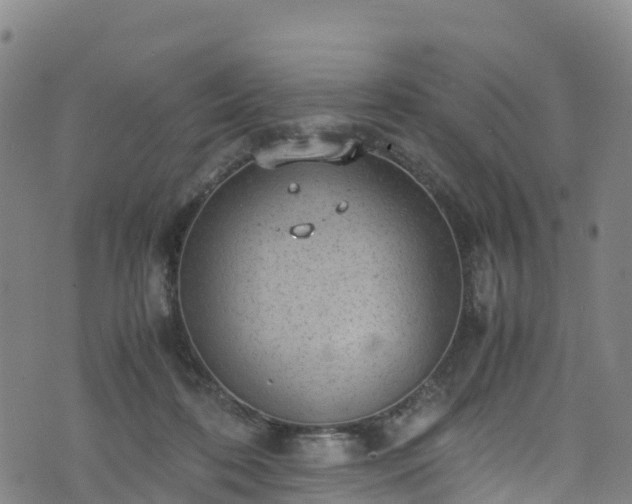 X0000072500316200607211256