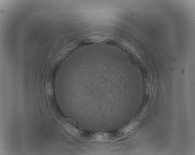 X0000072500317200607211256