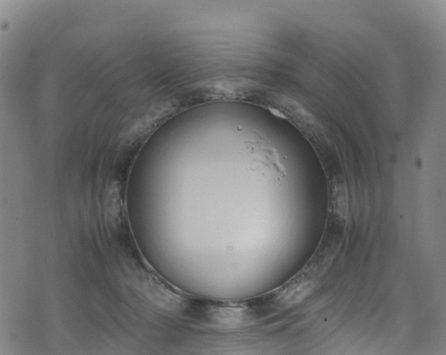 X0000072500318200607211256